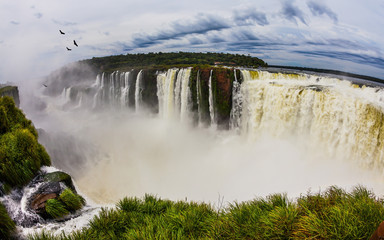 Andean condors fly above the waterfall