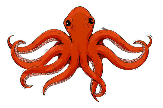 Red octopus. Hand drawn sketch