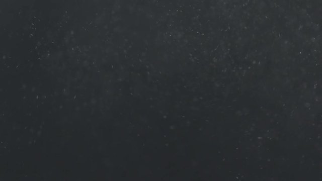 Slow motion real dust explosive wave in air over dark background
