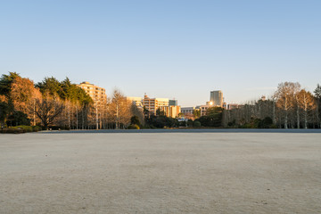 Fototapeta premium 都会の冬の公園と青空２