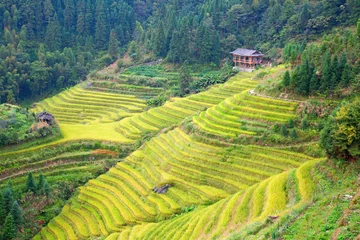 Foto op Plexiglas Longji Rice Terraces © swisshippo