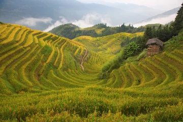 Afwasbaar fotobehang Longji rijstterrassen © swisshippo