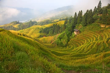 Foto op Aluminium Longji Rice Terraces © swisshippo