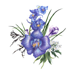 Watercolor bouquet. Hand drawn vintage botanical illustration