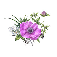 Watercolor bouquet. Hand drawn vintage botanical illustration - 202720183
