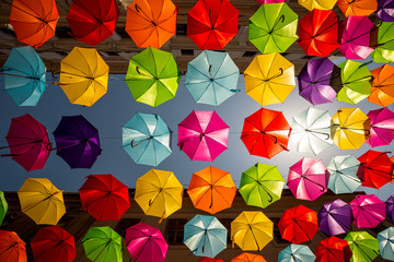 Fototapeta na wymiar Colored umbrellas hanging between buildings, festival days in Timisoara, Romania