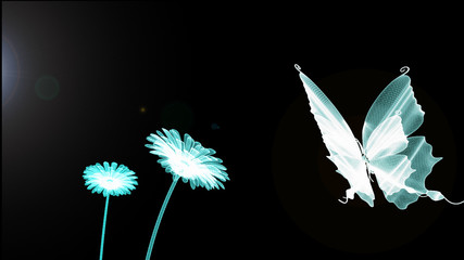 Blue butterfly, firefly, flower and sunshine is wire frame in nature on black background.  In happy day for presentation have copy space. 3d render. Technology digital.