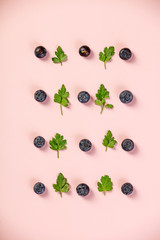 Pattern of blueberry and parsley leaves