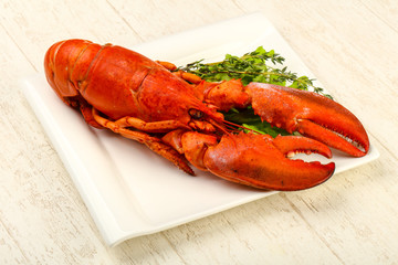 Lobster