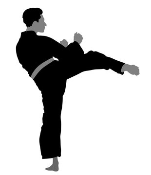 Karate man fighter in kimono, vector illustration. Black belt category. Karate man vector silhouette.