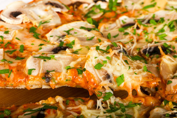 Mushroom pizza