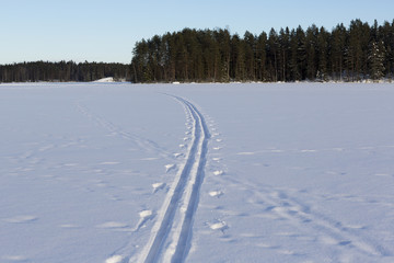 Fototapeta na wymiar Ski tracks on the lake ice during sunset in Finland. Skiing in silence, no people. Copy space.