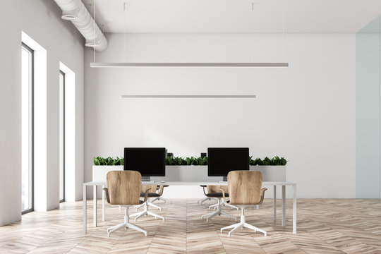 Minimalistic white office interior, wood