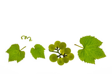 white wine grapes and leaves isolated on white background
