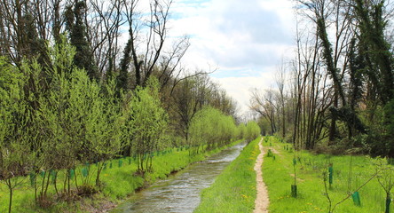 Fototapeta na wymiar Sentiero nel Parco vicino al canale in Primavera 