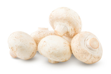 mushroom, champignon, isolated on white background, clipping path, full depth of field
