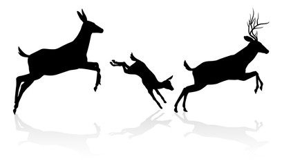 Fototapeta premium Sylwetka rodziny jeleni