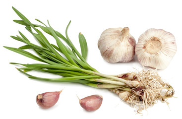 young green garlic isolated on white background