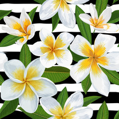 Fototapeta na wymiar Tropical Seamless Pattern with Plumeria Flowers. Floral Background with Palm Leaves for Wallpaper, Fabric, Wrapping, Decoration. Vector illustration