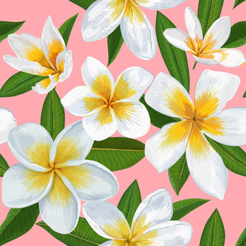 Tropical Seamless Pattern with Plumeria Flowers. Floral Background with Palm Leaves for Wallpaper, Fabric, Wrapping, Decoration. Vector illustration