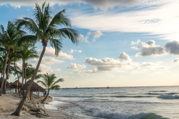 Tranquil exotic shoreline in daylight