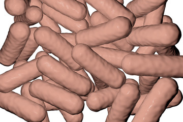 Morganella morganii, 3D illustration. Gram-negative bacteria that inhabit human intestine and cause...