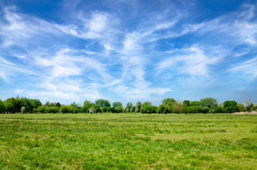 Fototapeta premium Harnham Water Meadow, Salisbury, England