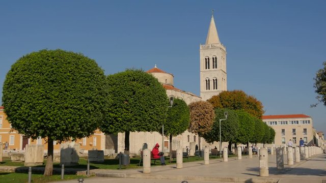 Trees in a sunny square 