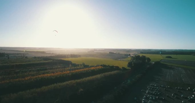 parapente volando sobre plantas y autos