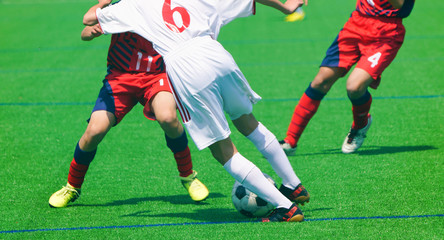 Fototapeta premium サッカー フットボール