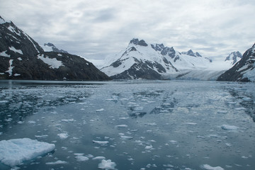 Fototapeta na wymiar Drygalski Fjord South Georgia Islands,mountain scene with glacial ice and overcast sky
