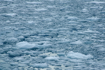 Drygalski Fjord South Georgia Islands, carved glacial ice