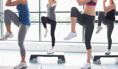 Women raising their legs while doing aerobics - Powered by Adobe