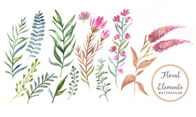 Fototapeta na wymiar Hand drawn watercolor floral elements - leaves and flowers. Isolated on the white background, easy editable and great for floral compositions.Design for invitation, wedding or greeting cards