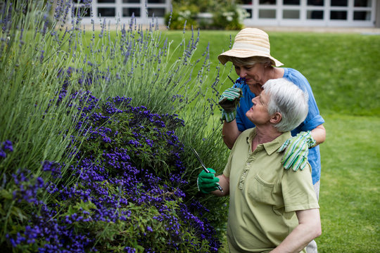 Senior couple smelling lavender
