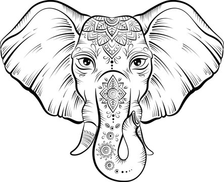 Vector african elephant in sketch style.
