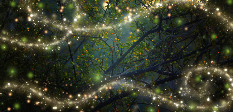 Abstract and magical image of Firefly flying in the night forest. Fairy tale concept.