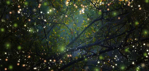 Foto op Canvas Abstract en magisch beeld van Firefly die in het nachtbos vliegt. Sprookjesconcept. © tomertu