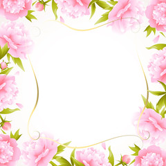 Peony. Flowers. Flower pattern. Background. Pink. Border. Buds. Green leaves. Petals.