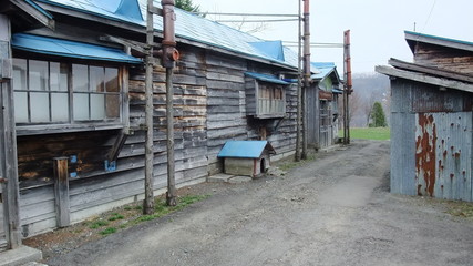 Fototapeta na wymiar 北海道の家