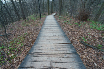 Wooden road in the Moscow park