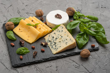 Different kinds of cheeses on a black board. With nuts and basil.