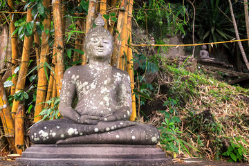 Ancient Buddha statue in meditation among a rainforest