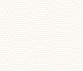 SET 100 Hexagonal Shapes Tiling 04 S