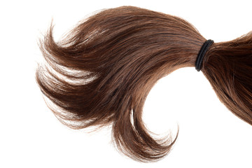 brunette hair in a ponytail isolated - obrazy, fototapety, plakaty