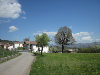 Obraz premium Strada rurale con fattoria e campo fiorito