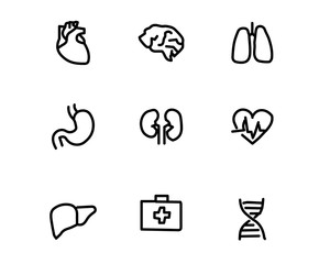 organ hand drawn icon set design illustration, hand drawn style design, designed web and app