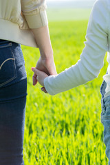 parent holds the hand of a small child. Hand in hand. Child support.