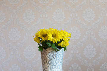 Potted Yellow Daisy flowers decorating interior of a house wall background