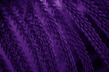 texture of the plant ultraviolet 2018 trend